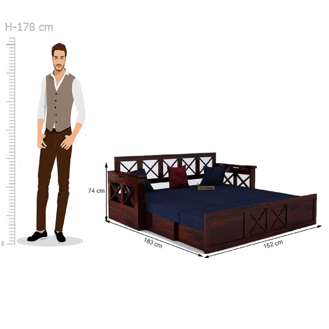 Murphy Blue Sofa Cum Bed-Mahogany