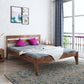 Home Edge Sheesham Wood Ewine King Size Bed-Teak